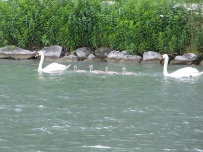 IMG_2600.JPG