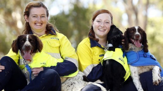 sydney water.jpg sydney water.jpg