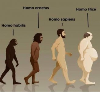 ascent of man.1.jpg