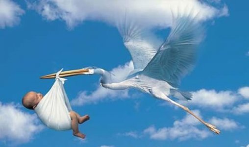 storks-deliver-babies.jpg