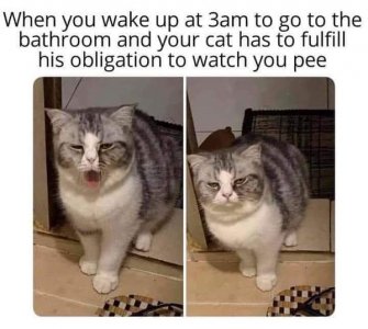 142919885_2544229129034543_3783892474996495471_n.jpg