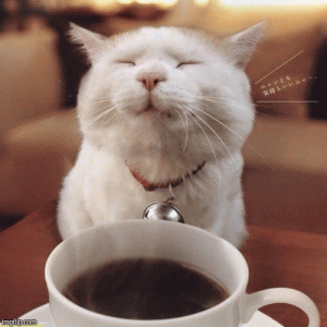 3avcka.gif 3avcka.gif
