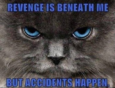 revenge.jpg