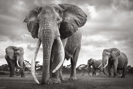 Mesmerizing-Nature-Photographs-that-will-Take-Your-Breath-Away-600ebe565a685__880.jpg