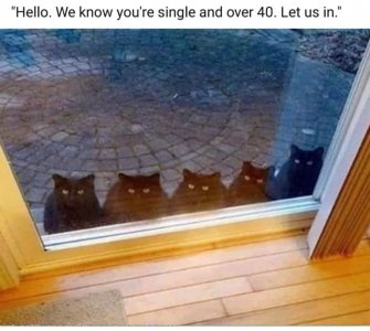 singleover40.jpg