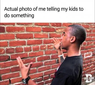 125116576_10222104647018779_8653245584646322691_n.jpg