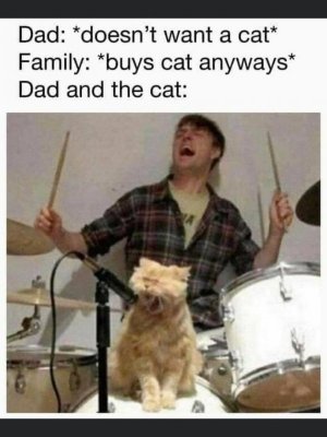 dadandcat.jpg