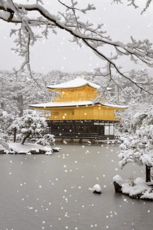 Feb 34.gif
