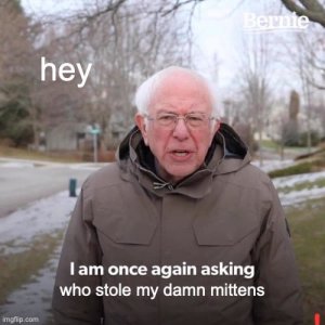 bernie.jpg