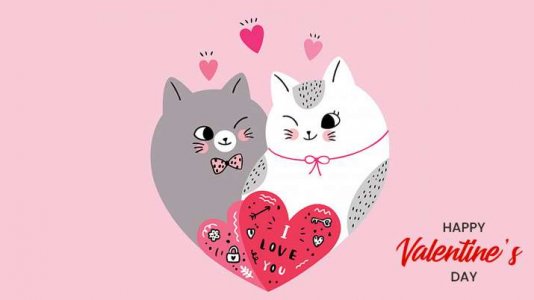 valentine-1-1581666870.jpg
