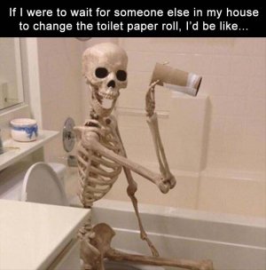 if-i-were-bathroom-meme.jpg