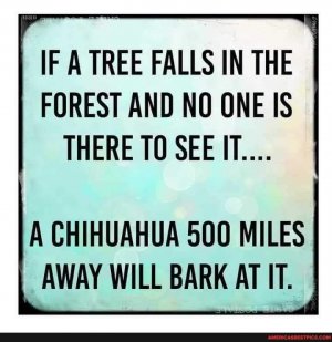 FB_IMG_1611958887853.jpg