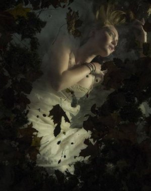 good night leaves.jpg