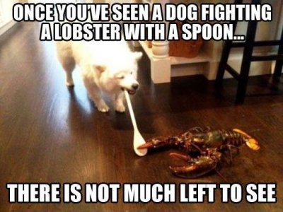 31899996_10209469804381736_6212652506988675072_n.jpg