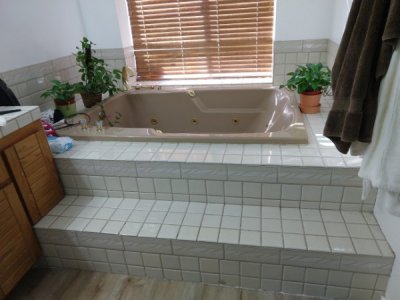 master bath.jpg