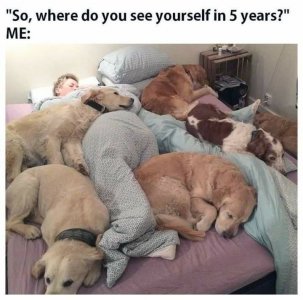 144175823_754377671860489_7619146971338328236_n[1].jpg