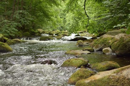 river.jpg