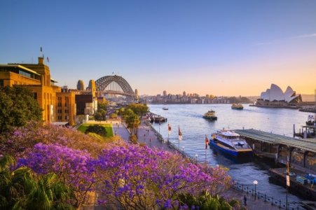 sydney1.jpg
