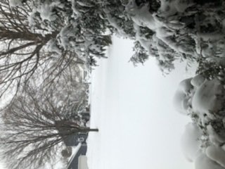 15DF8757-0347-4D5B-A1CC-3DAE974ABF08.jpeg