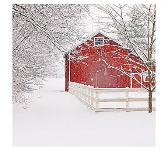 red-barn-in-the-snow-framed-print-by-cindy-taylor-m.jpg