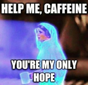 741e78f01dd95ff2121fa0bc1a86a63d[1].jpg
