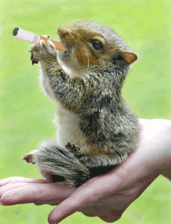 ed1ced13c8daa407c3e8a50b6f1b99c3[1].gif