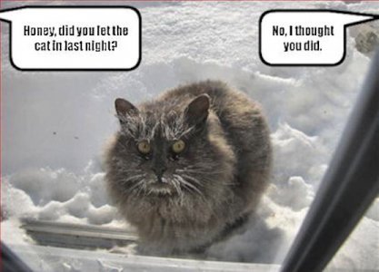 Frosty @.jpg