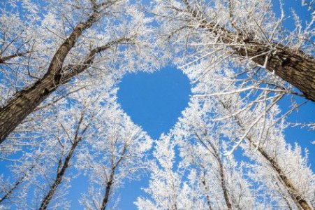 cold_heart.jpg
