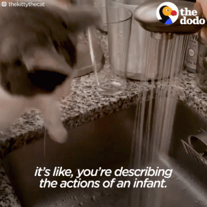 giphy (2).gif