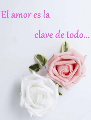 el_amor.jpg