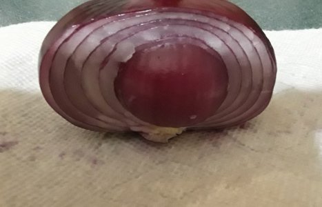 Onion Pregnant.jpg