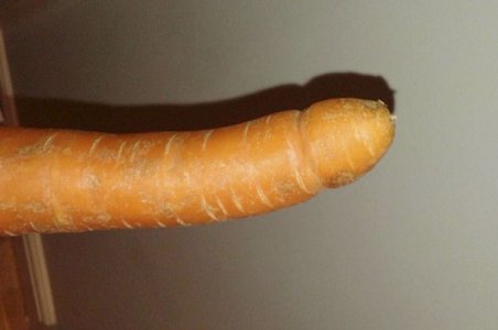 carrot.jpg