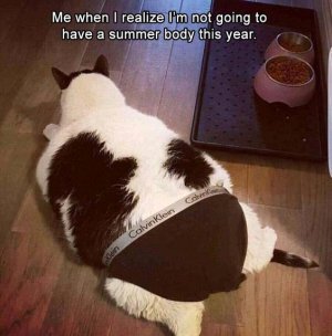 7bff29cf98f9172f428da92c72552b25[1].jpg