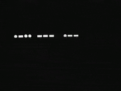 AmusingTornCottontail-max-1mb.gif