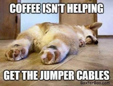 511f25c2e23aa49f198162eb5fe851f8[1].jpg