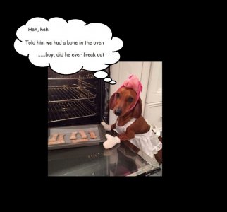 bone in the oven.jpg