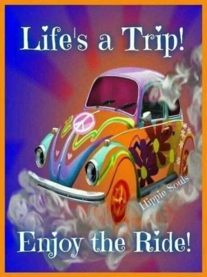 lifes a trip.jpg