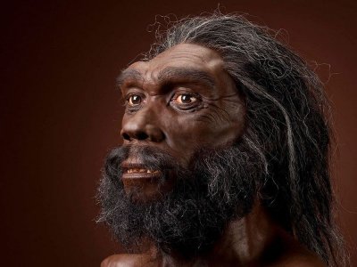 human ancestor.jpg