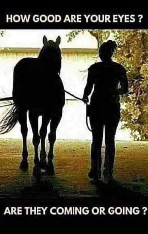 118848341_10218420650769396_1848553732981680116_n.jpg 118848341_10218420650769396_1848553732981680116_n.jpg