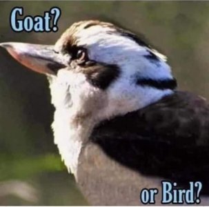 119040967_10218469633953945_2888370387191146256_o.jpg 119040967_10218469633953945_2888370387191146256_o.jpg