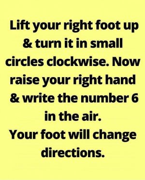 96575266_725159924918702_7940698307515383808_n copy.jpg 96575266_725159924918702_7940698307515383808_n copy.jpg