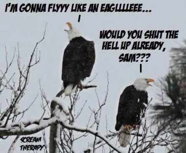 173ED64D-E179-47D3-A9E6-813FE85F70A5.jpeg