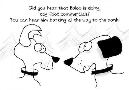 Bark to the bank.jpg