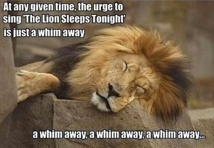 whim away.jpg