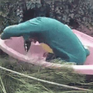 tenor (9).gif