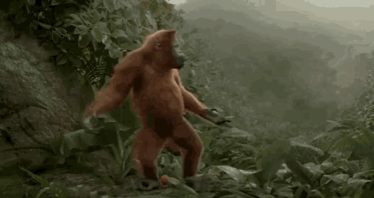 tenor (4).gif