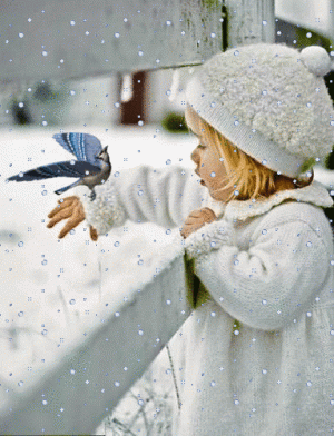 Feb 5.gif