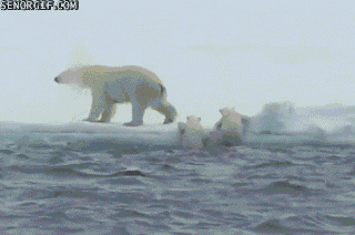 Polar1.gif