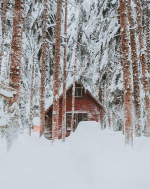 142ff848c55e9b2129c641c741f61c0c[1].jpg