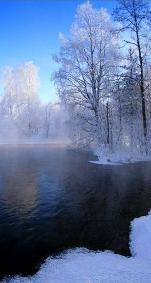 fe1f0f8a004edcda882df1c210792743[1].jpg
